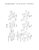 PROCESSING BIOMASS diagram and image