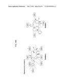 PROCESSING BIOMASS diagram and image