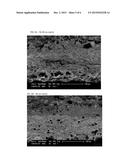 INFRARED PROCESSING TECHNOLOGY FOR THE PRODUCTION OF DRIED CRUNCHY     VEGETABLE/FRUIT INGREDIENTS AND SNACKS diagram and image