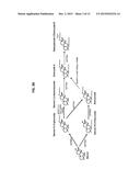 Steviol Glycoside Compositions Sensory Properties diagram and image