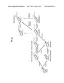 Steviol Glycoside Compositions Sensory Properties diagram and image