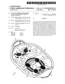 Anti-Slip Overshoe with Flexible Cleats and Method of Gripping Natural     Surfaces diagram and image