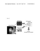 Novel Algorithms for Feature Detection and Hiding from Ultrasound Images diagram and image