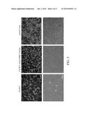 METHOD FOR TREATING CHIKUNGUNYA VIRUS INFECTION diagram and image