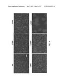 METHOD FOR TREATING CHIKUNGUNYA VIRUS INFECTION diagram and image