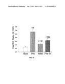 Na/K-ATPase Ligand and Uses Thereof in Wound Healing diagram and image