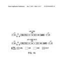 COMPOSITIONS AND METHODS FOR IMMUNOTHERAPY diagram and image