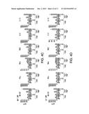 COMPOSITIONS AND METHODS FOR IMMUNOTHERAPY diagram and image