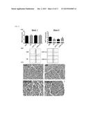 PHARMACEUTICAL COMPOSITION AND FUNCTIONAL FOOD COMPRISING NATURAL EXTRACTS     FOR PREVENTING OR TREATING DIABETIC COMPLICATIONS OR ANGIODEMA diagram and image