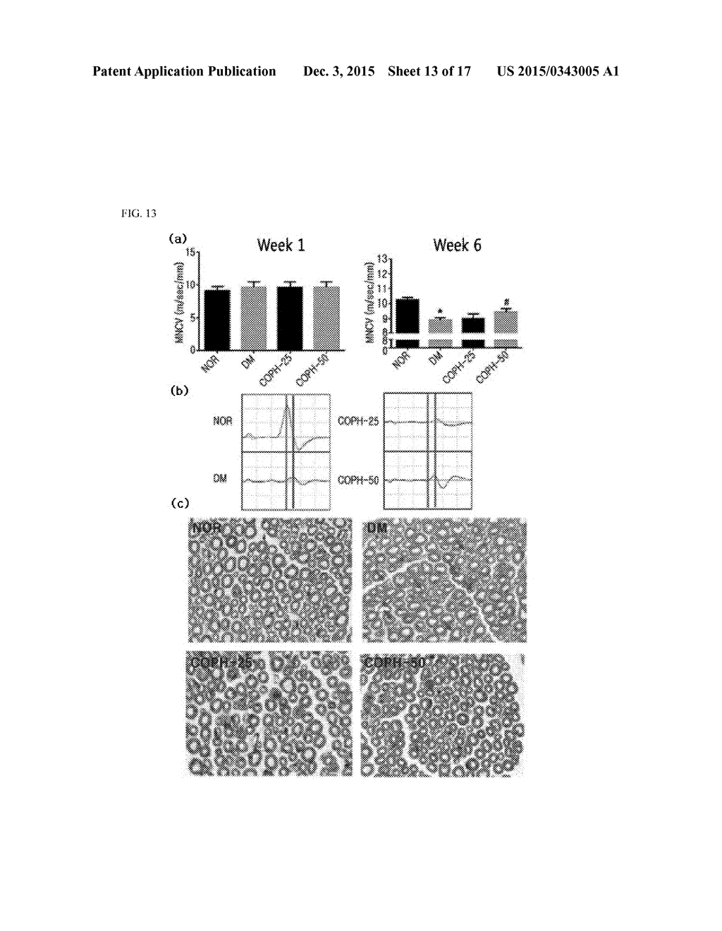 PHARMACEUTICAL COMPOSITION AND FUNCTIONAL FOOD COMPRISING NATURAL EXTRACTS     FOR PREVENTING OR TREATING DIABETIC COMPLICATIONS OR ANGIODEMA - diagram, schematic, and image 14