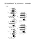 PHARMACEUTICAL COMPOSITION AND FUNCTIONAL FOOD COMPRISING NATURAL EXTRACTS     FOR PREVENTING OR TREATING DIABETIC COMPLICATIONS OR ANGIODEMA diagram and image