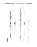 Vaccine diagram and image