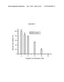 RADIOSENSITIZER COMPOUNDS FOR USE IN COMBINATION WITH RADIATION diagram and image