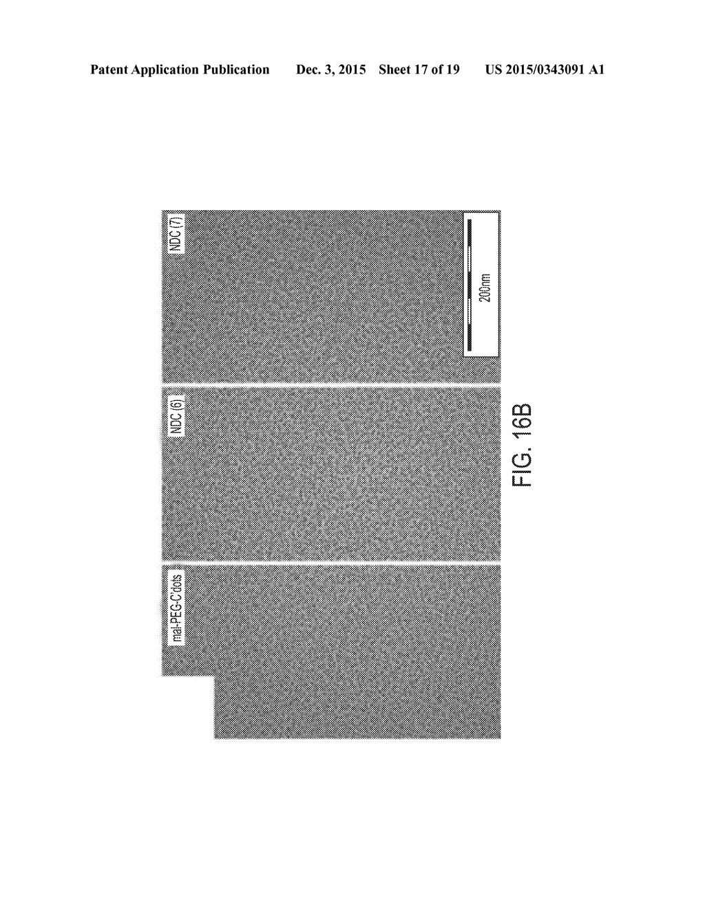 NANOPARTICLE DRUG CONJUGATES - diagram, schematic, and image 18