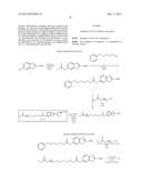 COMPOSITIONS AND METHODS FOR IN VIVO IMAGING diagram and image