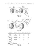 BIMODAL FLUOROPHORE-LABELED LIPOSOMES AND ASSOCIATED METHODS AND SYSTEMS diagram and image