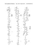 BIMODAL FLUOROPHORE-LABELED LIPOSOMES AND ASSOCIATED METHODS AND SYSTEMS diagram and image