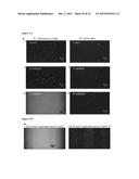 METHOD FOR DIRECT PHOTOPATTERNING  OF MOLECULES ON SURFACES diagram and image