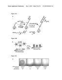 METHOD FOR DIRECT PHOTOPATTERNING  OF MOLECULES ON SURFACES diagram and image