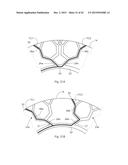 CUSTOMIZABLE APPARATUS AND METHOD FOR TRANSPORTING AND DEPOSITING FLUIDS diagram and image