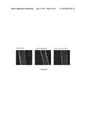 Shape Memory Assisted Self-Healing Polymers Having Load Bearing Structure diagram and image