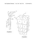 PACKAGE WITH CARRYING HANDLE AND BLANK FOR FORMING THE HANDLE diagram and image