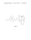 PACLITAXEL ENHANCER COMPOUNDS diagram and image