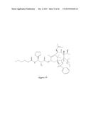 PACLITAXEL ENHANCER COMPOUNDS diagram and image