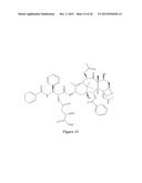 PACLITAXEL ENHANCER COMPOUNDS diagram and image