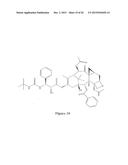 PACLITAXEL ENHANCER COMPOUNDS diagram and image