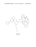 PACLITAXEL ENHANCER COMPOUNDS diagram and image