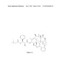 PACLITAXEL ENHANCER COMPOUNDS diagram and image