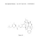 PACLITAXEL ENHANCER COMPOUNDS diagram and image