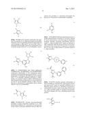 CARBOXAMIDE OR SULFONAMIDE SUBSTITUTED NITROGEN-CONTAINING 5-MEMBERED     HETEROCYCLES AS MODULATORS FOR THE ORPHAN NUCLEAR RECEPTOR ROR GAMMA diagram and image