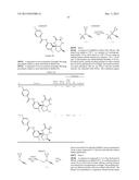 C2,C6 OXACYCLIC-FUSED THIAZINE DIOXIDE COMPOUNDS AS BACE INHIBITORS,     COMPOSITIONS, AND THEIR USE diagram and image