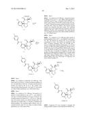 C2,C6 OXACYCLIC-FUSED THIAZINE DIOXIDE COMPOUNDS AS BACE INHIBITORS,     COMPOSITIONS, AND THEIR USE diagram and image