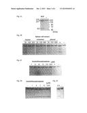 MEDICAMENT FOR LCT POISONING diagram and image