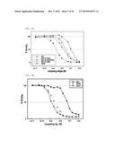 ANTIBODY BINDING SPECIFICALLY TO HUMAN AND MOUSE L1CAM PROTEIN, AND USE     THEREFOR diagram and image