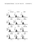 ANTIBODY BINDING SPECIFICALLY TO HUMAN AND MOUSE L1CAM PROTEIN, AND USE     THEREFOR diagram and image