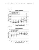 ANTIBODY BINDING SPECIFICALLY TO HUMAN AND MOUSE L1CAM PROTEIN, AND USE     THEREFOR diagram and image