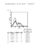 ANTIBODY BINDING SPECIFICALLY TO HUMAN AND MOUSE L1CAM PROTEIN, AND USE     THEREFOR diagram and image