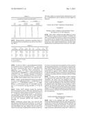 ANTIBODY BINDING SPECIFICALLY TO HUMAN AND MOUSE L1CAM PROTEIN, AND USE     THEREFOR diagram and image