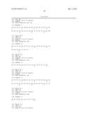 ANTIBODY BINDING SPECIFICALLY TO HUMAN AND MOUSE L1CAM PROTEIN, AND USE     THEREFOR diagram and image