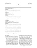 ANTIBODY BINDING SPECIFICALLY TO HUMAN AND MOUSE L1CAM PROTEIN, AND USE     THEREFOR diagram and image