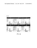 Human Monoclonal Antibodies Against Human Chemokine Receptor CCR7 diagram and image