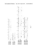 Human Monoclonal Antibodies Against Human Chemokine Receptor CCR7 diagram and image