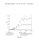 Human Monoclonal Antibodies Against Human Chemokine Receptor CCR7 diagram and image