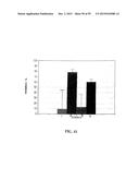 Human Monoclonal Antibodies Against Human Chemokine Receptor CCR7 diagram and image