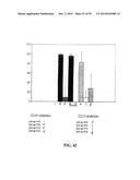 Human Monoclonal Antibodies Against Human Chemokine Receptor CCR7 diagram and image