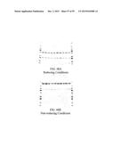 Human Monoclonal Antibodies Against Human Chemokine Receptor CCR7 diagram and image